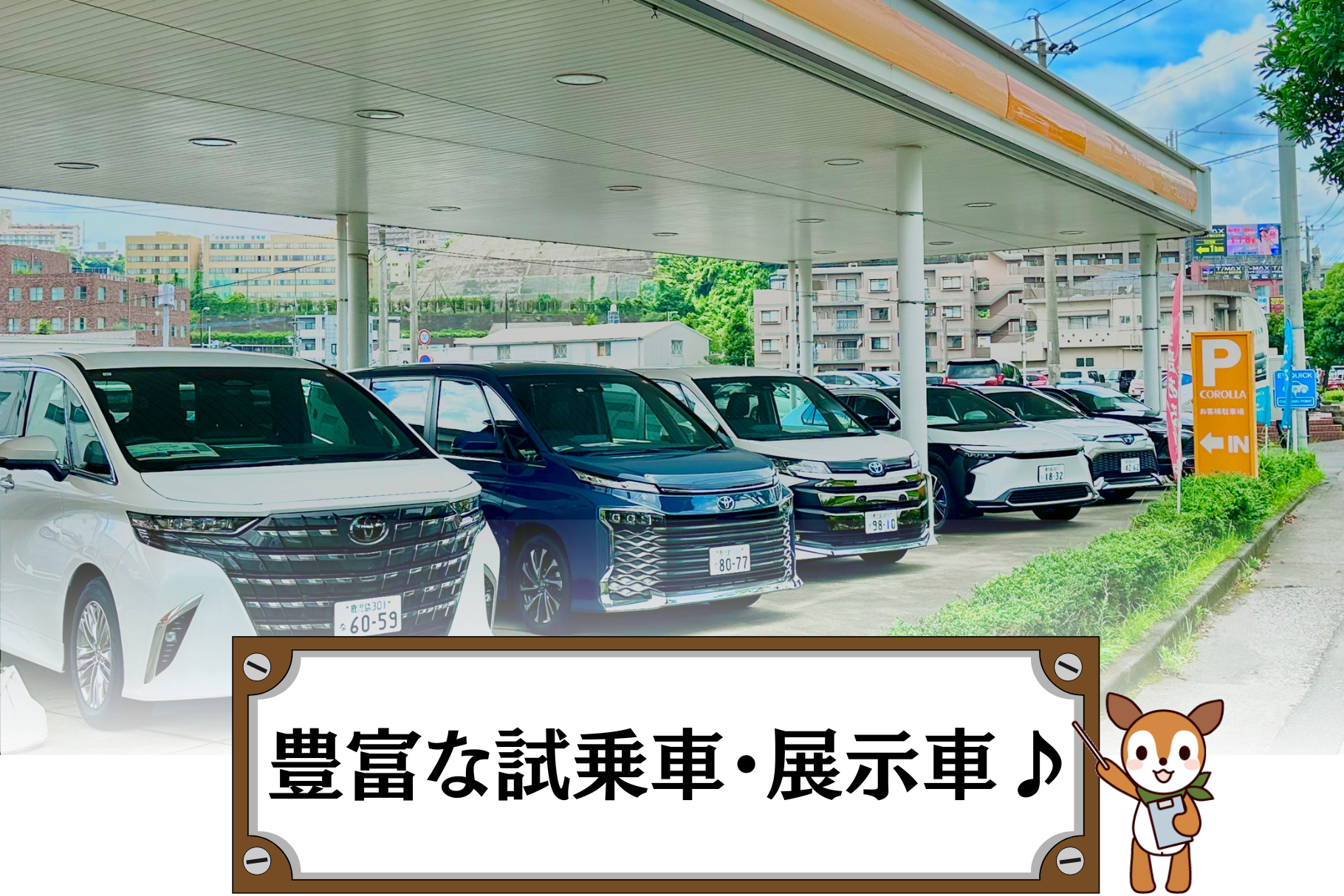 試乗車